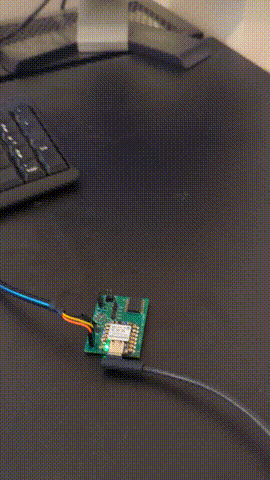 PXL_20251002_171422416(3).gif