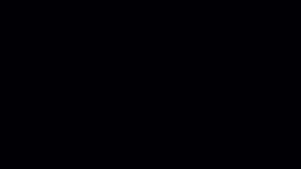 FlexButtonN6_Gif1.gif