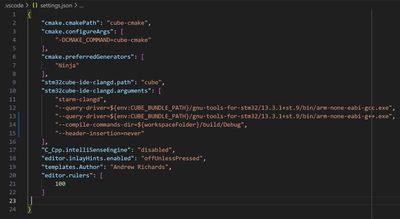 settings.json.jpg